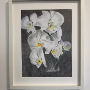 Fehér orchidea/White Orchid